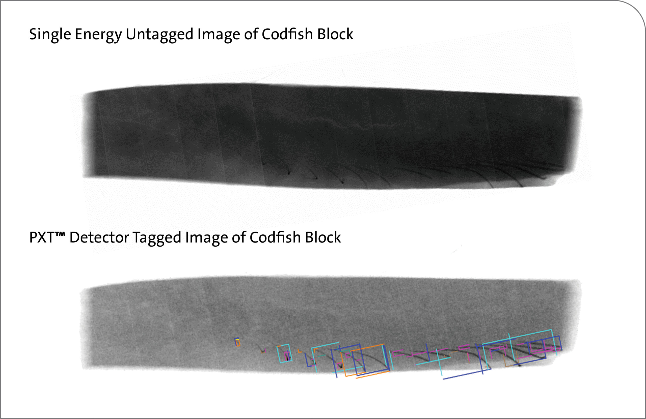 Imagen del detector de energía simple y PXT del bloque de bacalao